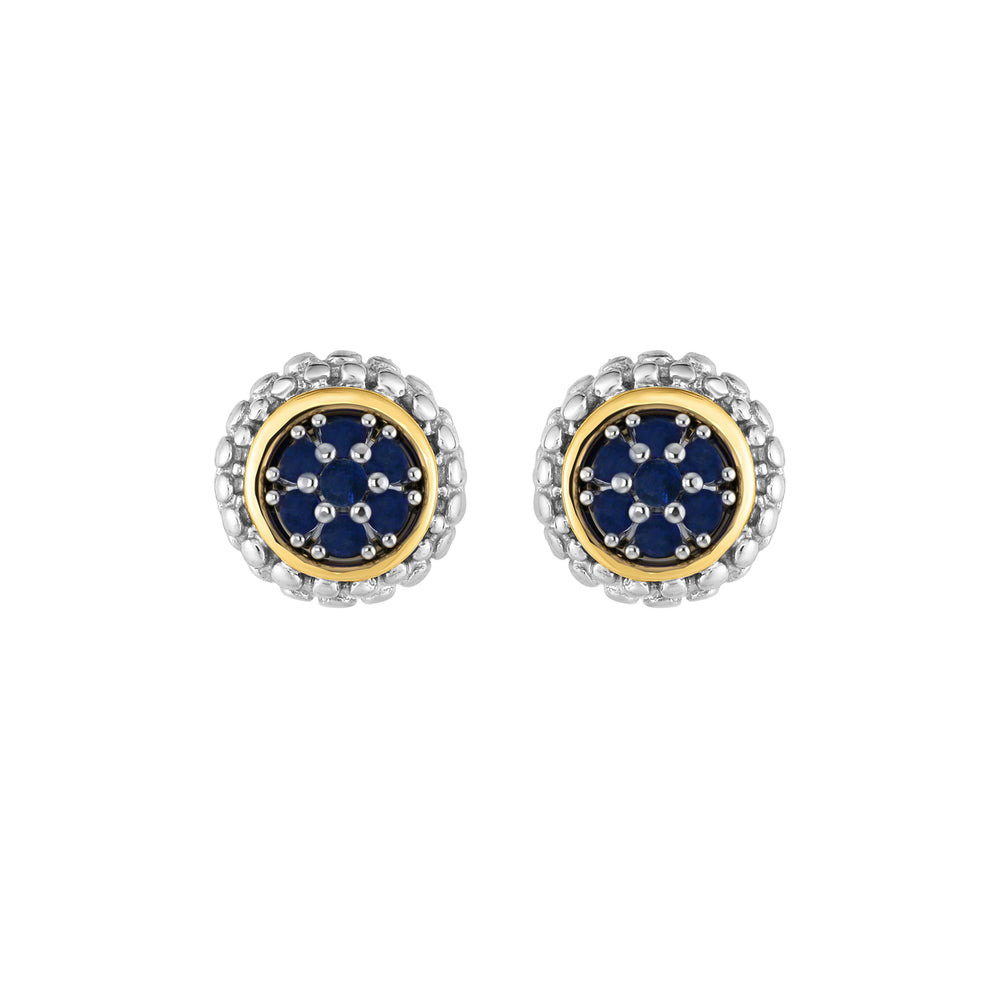 Phillip Gavriel Silver Sapphire Earrings