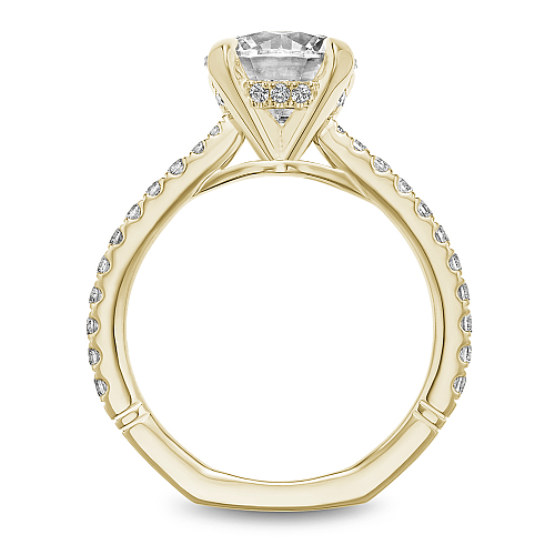 Noam Carver Diamond Engagement Ring