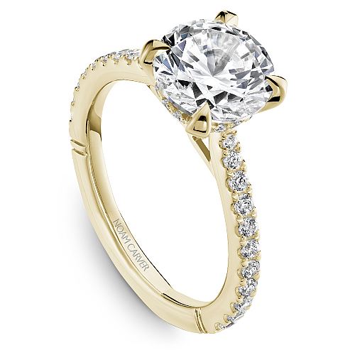 Noam Carver Diamond Engagement Ring