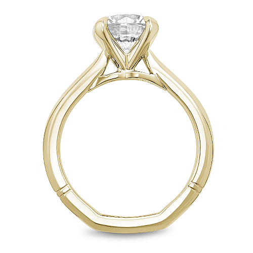 Noam Carver Diamond Solitaire Engagement Ring