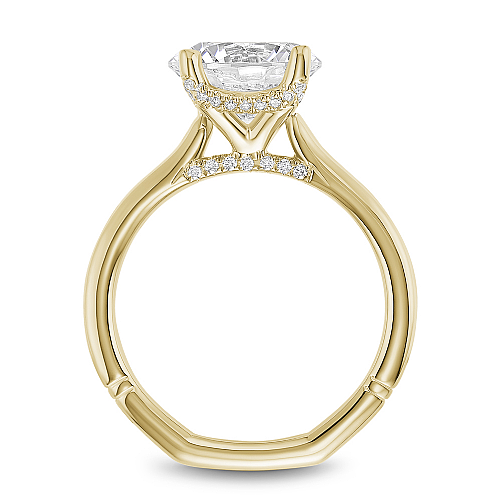 Noam Carver Diamond Engagement Ring