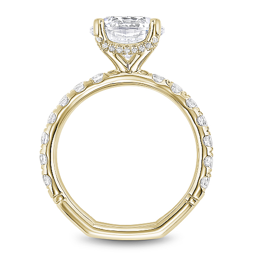 Noam Carver Diamond Engagement Ring