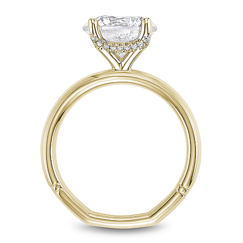Noam Carver Diamond Engagement Ring