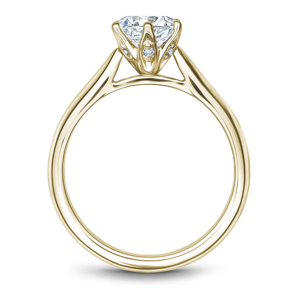 Noam Carver Diamond Engagement Ring
