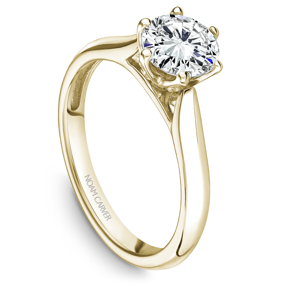 Noam Carver Diamond Engagement Ring