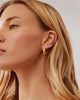 Anna Beck Classic Wide Hoop Earrings