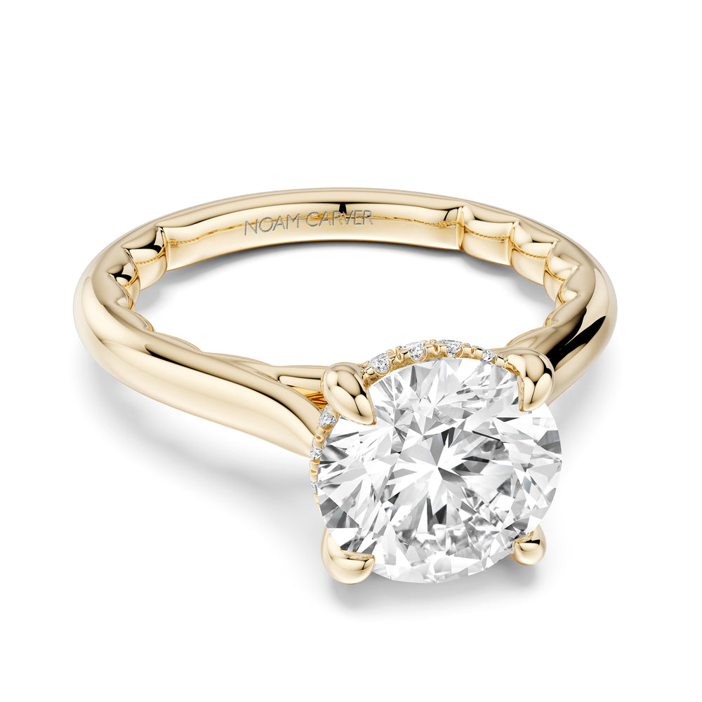 Noam Carver Diamond Engagement Ring