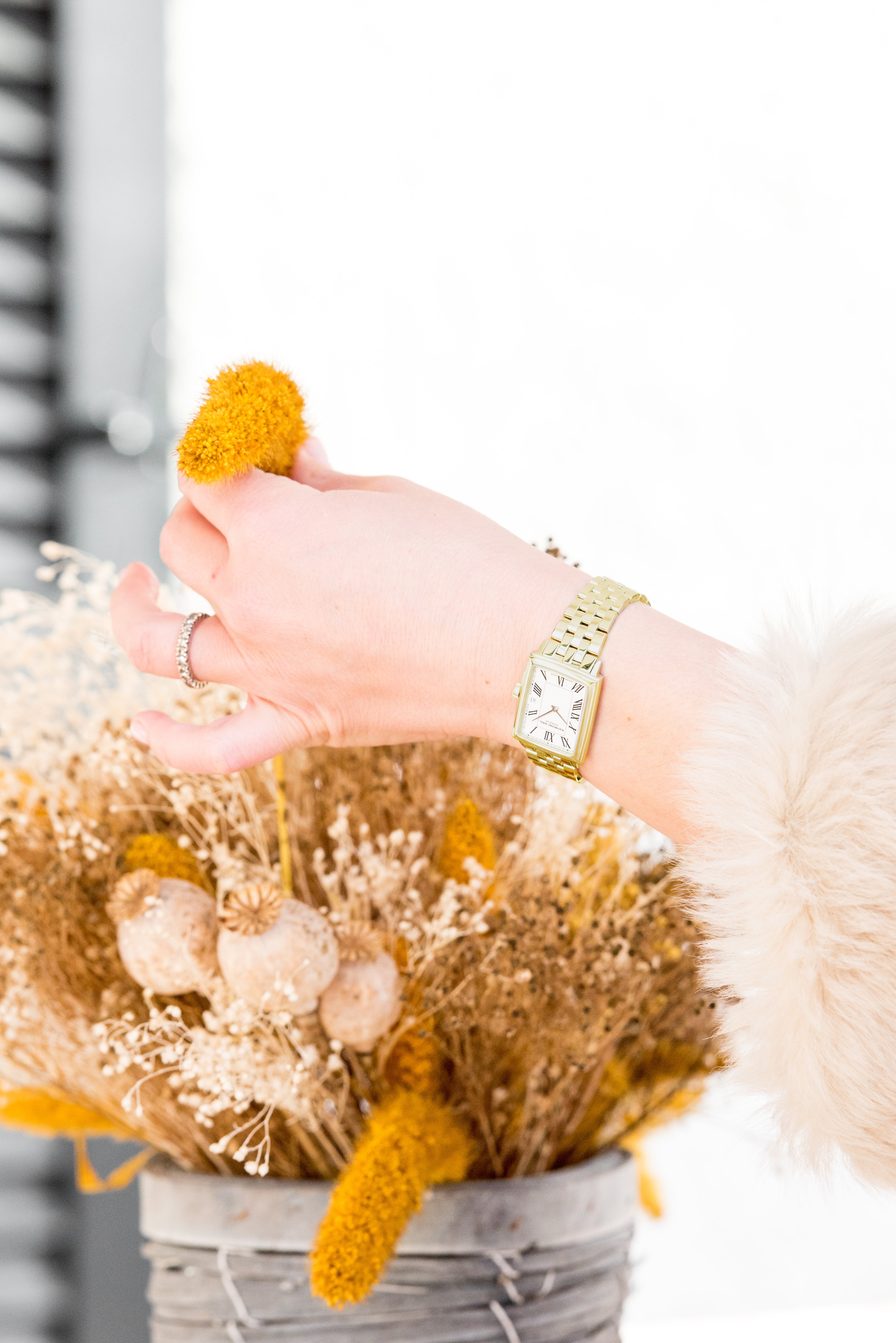 Barmakian | Raymond Weil Toccata Ladies Gold Quartz White Dial