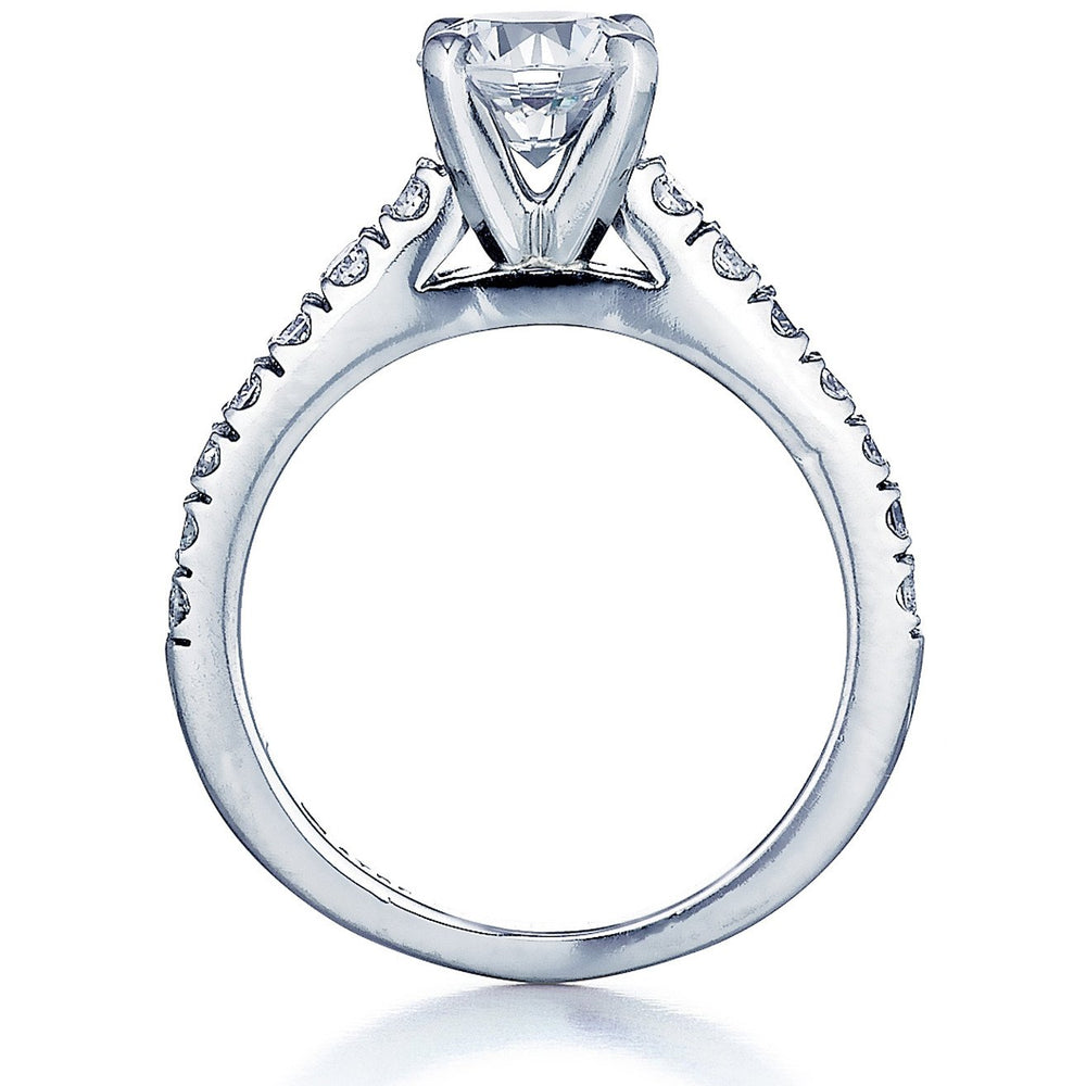 Barmakian Diamond Engagement Ring