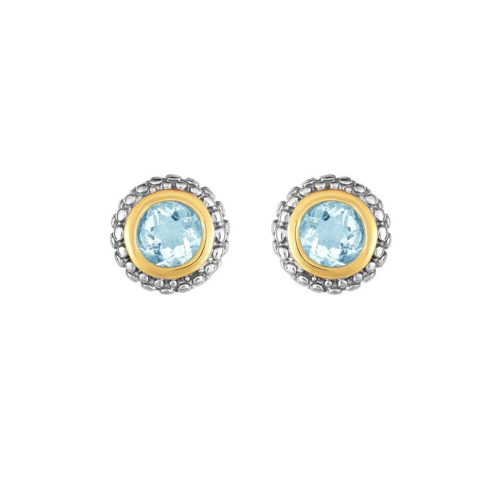 Phillip Gavriel Silver Aquamarine Earrings